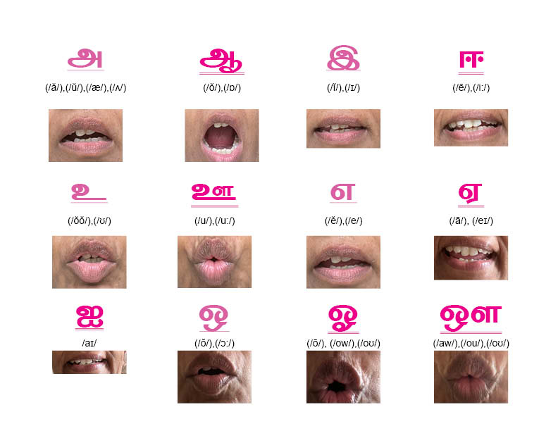 IPAbasedTamilvowelcards1